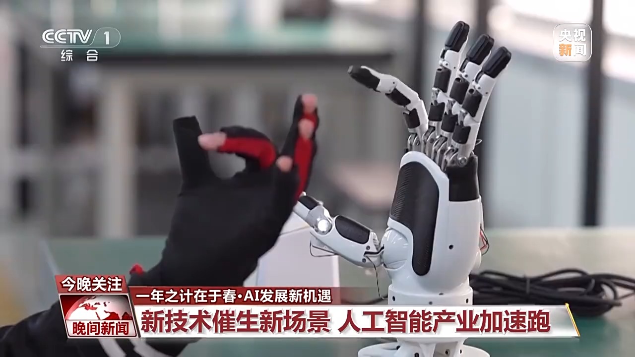 球圈中并不