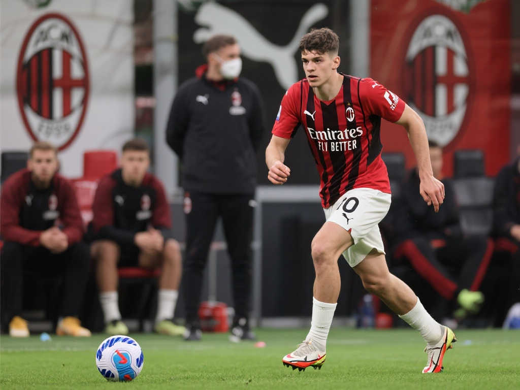 他们的团队 他们的团队